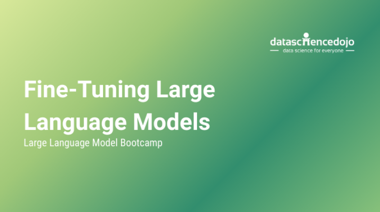 Fine-Tuning Large Language Models Fine-Tuning Large Language Models